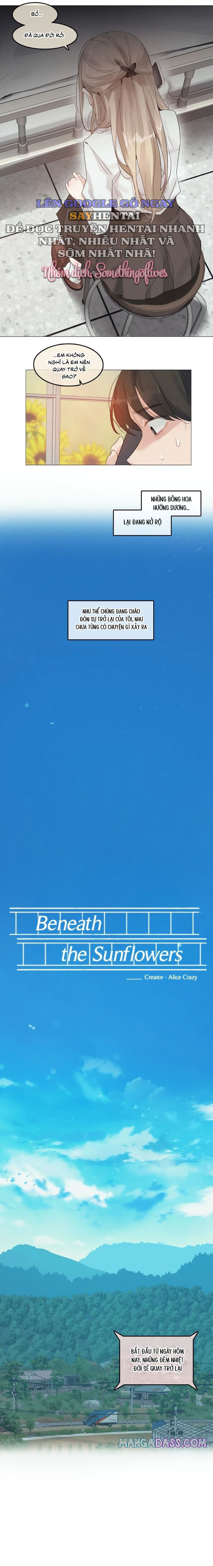 mua-huong-duong-tham-thi-chap-1-3 integer